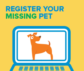 register your missing pet